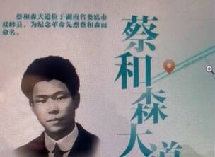 致敬英雄一蔡和森